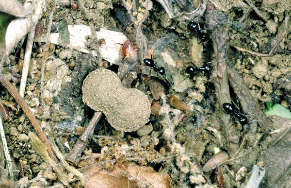 �}�_���}���n�q���Y�R�K