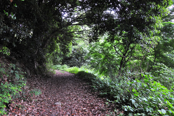 �k���U���H�b�ʐ^1