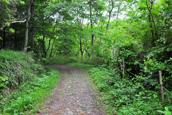 �����U���H�b�ʐ^