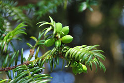 �J���b�ʐ^