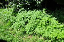 �����r�b�ʐ^