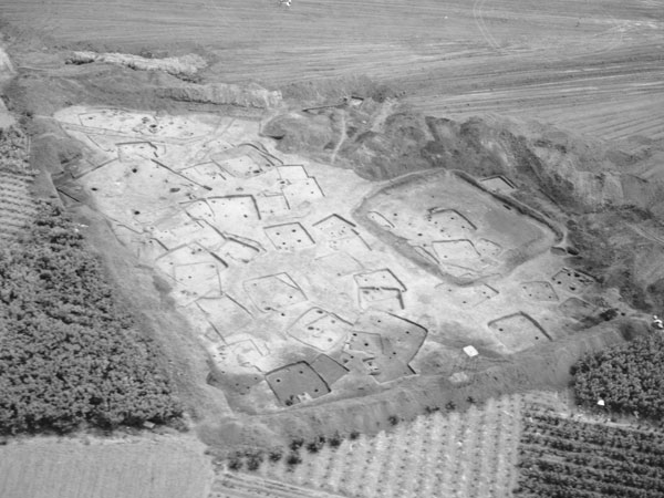 �����R�s�E�Ԑ�����ՑS�i�b�ʐ^