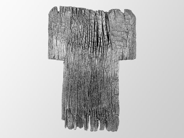 ���B���b�ʐ^