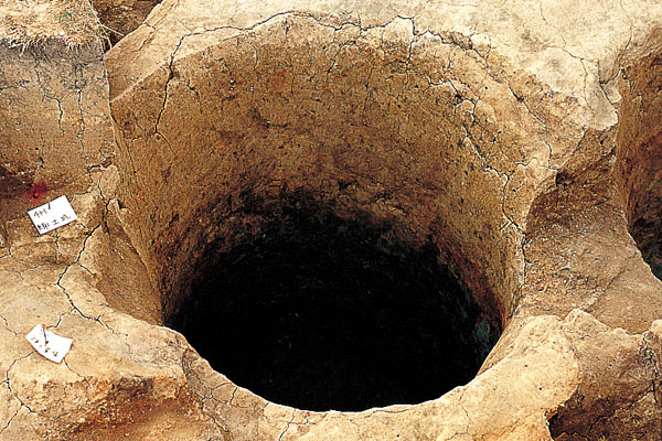 �y�B�^���掮�g�C���̊��@�󋵁b�ʐ^