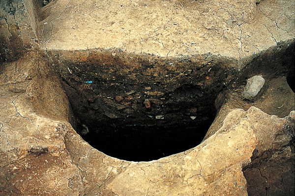 ��茧���V�䏊�Ղ̓y�B�^���掮�g�C���Ƃ݂����\�b�ʐ^