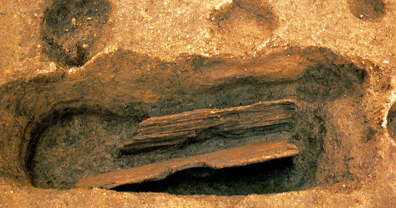 ���q�s�����Ղ̓y�B�^���掮�g�C���b�ʐ^