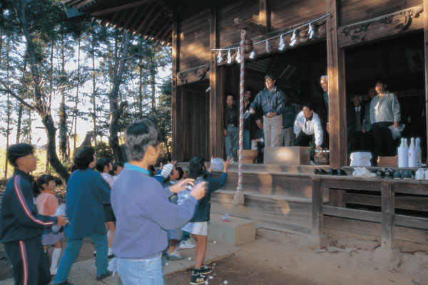 �I�N���`�̒c�q�����b�ʐ^